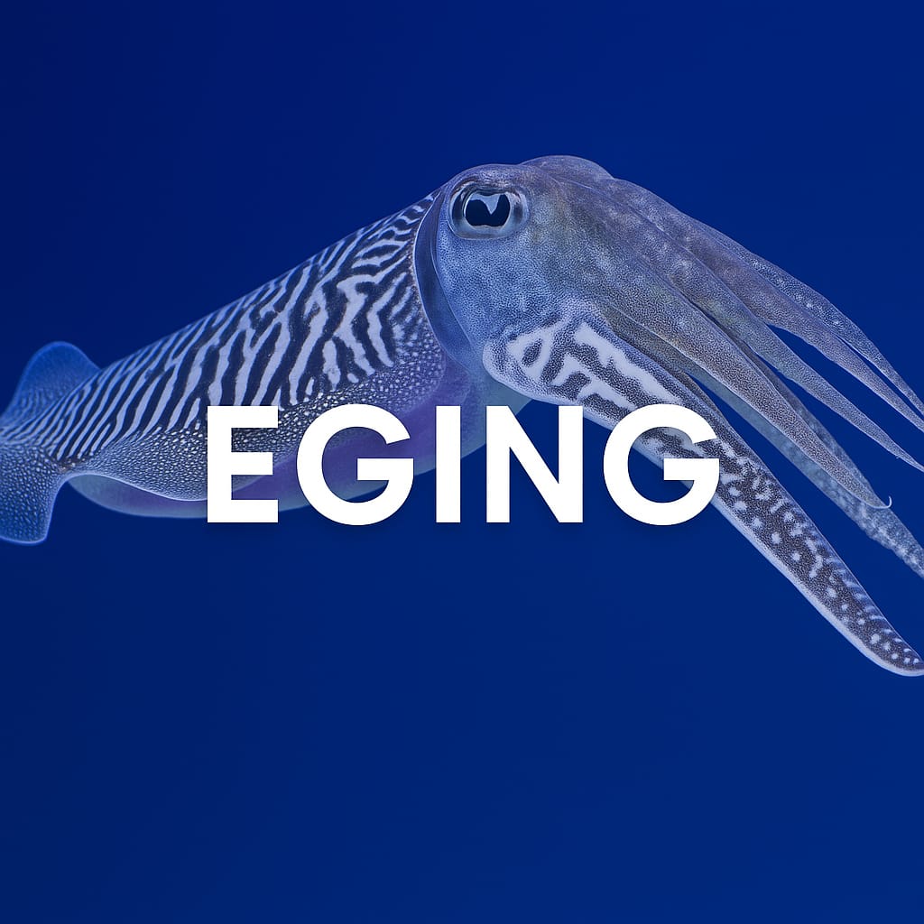 Eging
